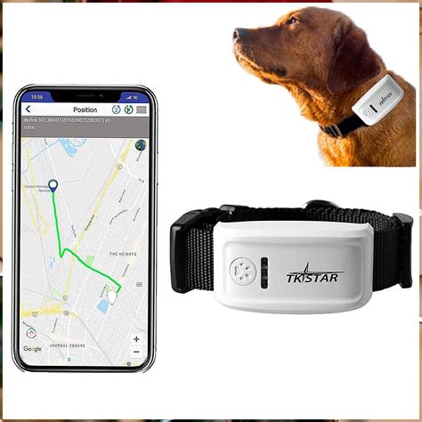 gps tracking for dogs